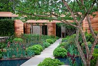 Cedar frames, Yorkshire stone pathway and walls are complemented by soft planting including Iris 'Quechee', Verbascum 'Clementine', Geum x borisii and bronze fennel, Foeniculum vulgare purpureum - Homebase Teenage Cancer Trust Garden, Gold Medal winner - RHS Chelsea Flower Show 2012 