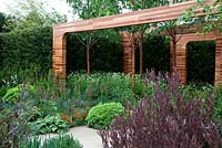 Cedar frames and Yorkshire stone pathway and walls are complemented by soft planting including Verbascum 'Clementine', Geum x borisii, Foeniculum vulgare purpureum and Silene vulgaris in the background next to four Prunus serrula trees - Homebase Teenage Cancer Trust Garden, Gold Medal winner - RHS Chelsea Flower Show 2012 