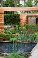 Cedar wood frames with water feature, plants including Iris 'Red Zinger' and Libertia grandiflora - The Homebase Teenage Cancer Trust Garden, RHS Chelsea Flower Show 2012