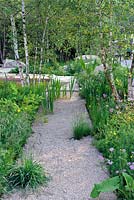 The Telegraph Garden, Gold Medal winner, RHS Chelsea Flower Show 2012 . Crushed limestone path in woodland garden 
 
 