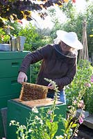 Margret Wermert beekeeping