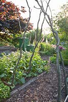 Rustic wigwam in vegetable garden