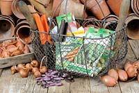 Spring potting shed still life with seed potatoes 'Arran Pilot', shallots, terracotta pots, wire trug with seed packets and garden tools