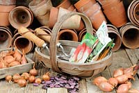 Spring potting shed still life with seed potatoes 'Arran Pilot', shallots, terracotta pots, wooden trug with seed packets and garden tools