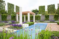 Mediterranean garden with Carpinus betulus and swimming pool
