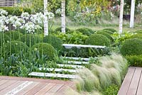 Modern garden with Buxus sempervirens, Agapanthus umbellatus 'Albus' and Stipa tenuissima