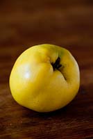 Quince 'Serbian Gold' on wooden table