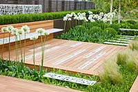 Modern garden with decked area and planting of  Buxus sempervirens, Agapanthus umbellatus Albus and Stipa tenuissima