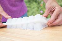 Step by step for creating decorative ice cubes using borage flowers - woman turning out tray onto wooden table 