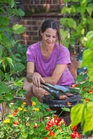 Woman cooking lamb and fresh rosemary on small barbeque in vegetable garden