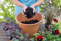 Step by step for planting a colourful container 