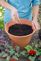 Step by step for planting a colourful container - adding plant food 