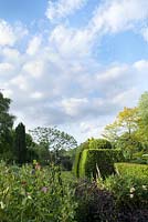 View of the garden across the borders to topiary and hedging.