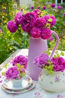 Roses and Alchemilla mollis in pink jug and china. Varieties include Rosa de Rescht, 'Reine de Violettes' and 'Gloire de Ducher'