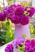 Roses and Alchemilla mollis in pink jug and china. Varieties include Rosa 'De Rescht', 'Reine de Violettes' and 'Gloire de Ducher'
