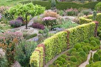Arial view of garden and Fagus sylvatica hedge