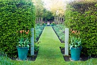Grass path through borders to vegetable garden. Tulipa 'Ballerina' in pots
