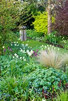 Spring border with Tulipa 'Recreado' and 'Spring Green'. Other plants include Stipa, Hellebores and Narcissus 'Thalia'
