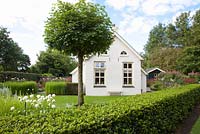 House with a front garden and ball tree, Tilia cordata 'Green Globe'
