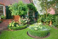 Front garden with Hydrangea and Robinia pseudoacacia 'Umbraculifera'