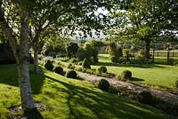 View of the garden, Wyckhurst Kent