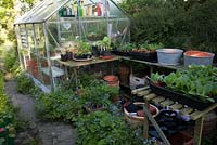 Small nursery outside the greenhouse, Wyckhurst Kent