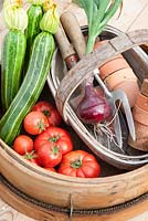 Small garden harvest of tomatoes courgettes, and red onion in traditional garden sieve