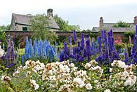Delphinium 'Cristella'. The ornamental garden. Alnwick garden. UK