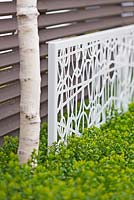 Decorative white metal screen in front of wooden fence in modern garden - Buxus sempervirens, Betulus utilis var.jacquemontii