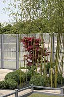 'Virtual Reality Garden' at Hampton Court Flower Show 2012