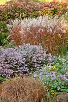 Autumn border in The Summer Garden and National Miscanthus Collection at The Bressingham Gardens, Norfolk, UK