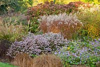 Autumn border with in The Summer Garden and National Miscanthus Collection at The Bressingham Gardens, Norfolk, UK