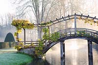 Wooden bridge over moat with Wisteria in winter - Great Fosters, Surrey 