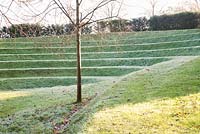 Formal Amphitheatre in winter - Great Fosters, Surrey 