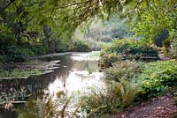 Decorative wooden seat alongisde lake with Ferns and Hydrangea in autumn. Minterne Gardens, Minterne Magna, Dorset
