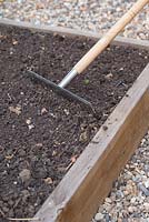 Step by step - Planting Phacelia in raised bed - Green Manure. Raking soil