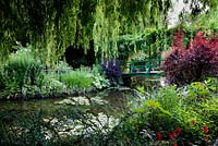 Monet's garden, Giverny, France