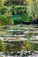 Monet's garden, Giverny, France