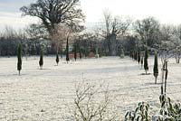 Frosty field in winter. Mausoleum seen at end of avenue of fastigiate Taxus 

