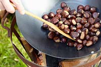 Roasting chestnuts