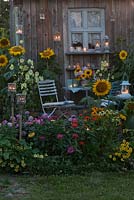 Summer house with planting of Sunflowers, Althea rugosa, Zinnias, Echinacea 'Sunset', Dahlias and Nasturtiums 'Whirlybird'
