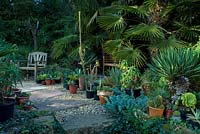 Edwin Lutyens bench with planting of Trachycarpus fortunei and collection of containers