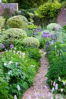 The walled herb garden features mounds of Phlomis fruticosa, variegated box and masses of herbs including purple sage, tansy, fennel, monkshood, flowering alliums and aquilegias and pink bistort. Beechenwood Farm, Odiham, Hants, UK