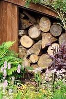 A wood stack with chopping block and axes, Persicaria 'Red Dragon', ferns and Astrantia in foreground - The Lizard, Wymondham, Norfolk