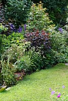 Mixed border in the back garden including Lysimachia ciliata 'Firecracker', Rosa, Astilbe, Astrantia, Cistus, Epimedium, Iris, Aconitum and Geranium - The Lizard, Wymondham, Norfolk