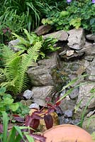 Cascading water feature surrounded by ferns and Epimedium - The Lizard, Wymondham, Norfolk