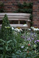 The Poets' Retreat. Hampton Court Flower Show 2012. Detail shows cone box topiary, white echinacea, hosta flower and wooden seat in background.