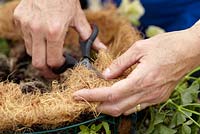 Making hanging basket - cutting holes in liner for plants