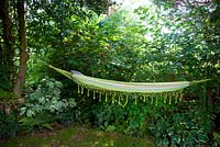 Hammock in shady garden, viburnum, hostas - late summer