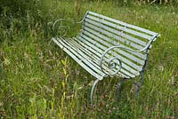 Painted metal bench amongst long grasses and clover. June
